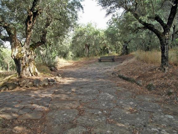 Hotel Villa Vecchia Monte Porzio Catone Εξωτερικό φωτογραφία