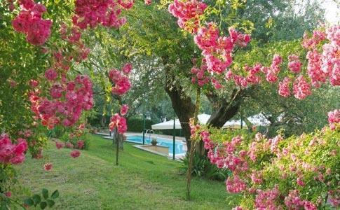 Hotel Villa Vecchia Monte Porzio Catone Εξωτερικό φωτογραφία